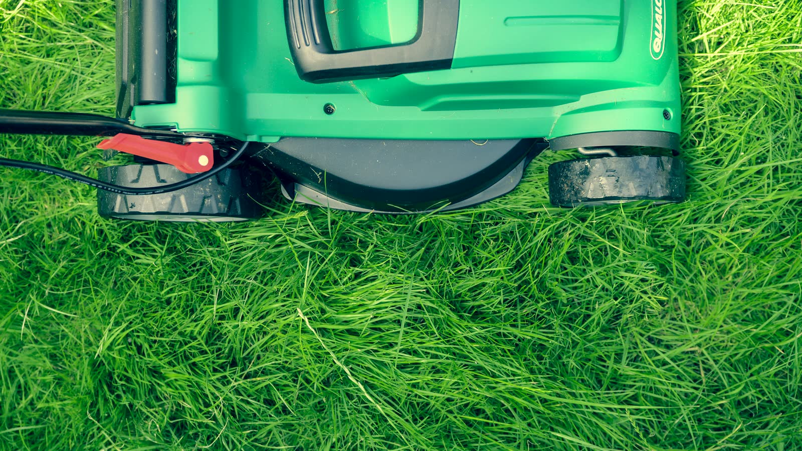Walk-behind mower cutting a dense green lawn.